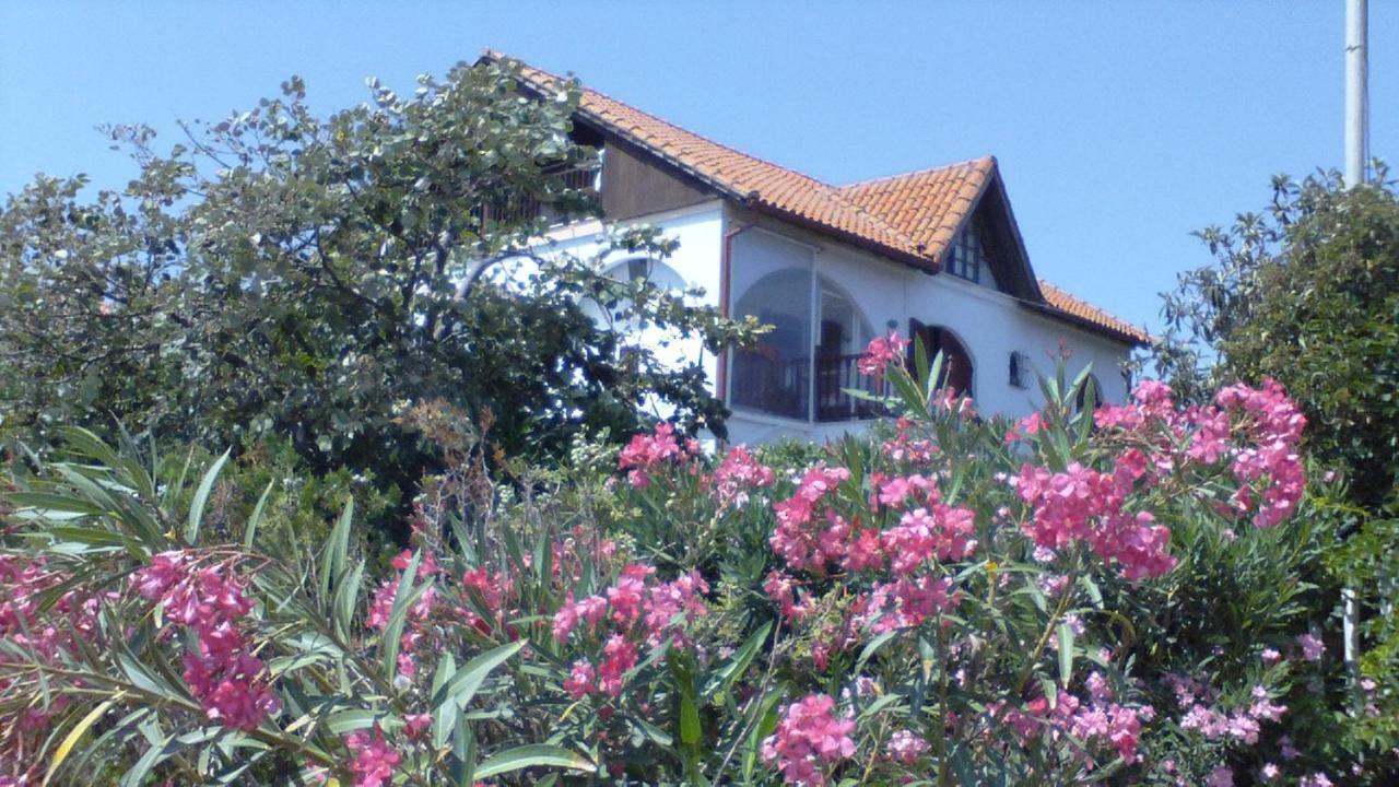 Villa Iris Vrasná Dış mekan fotoğraf